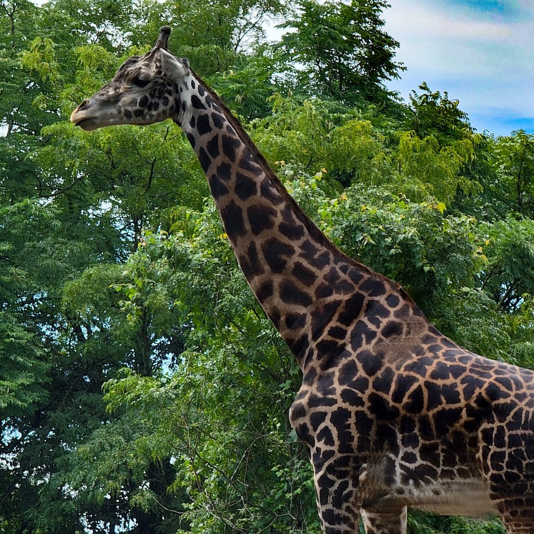 Pittsburgh Zoo & Aquarium 2